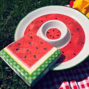 Melamine Watermelon Fruit and Dip Serving Tray w Napkins